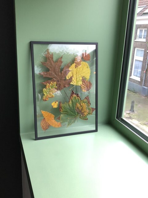 Moebe frame met herfstbladeren